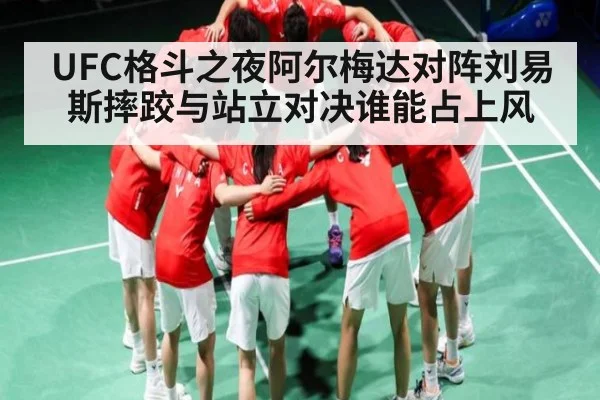 UFC格斗之夜阿尔梅达对阵刘易斯摔跤与站立对决谁能占上风 | hth